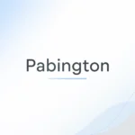 Minimal Pabington logo on a clean background representing a unique brand name and simple digital identity concept