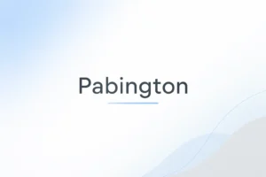Minimal Pabington logo on a clean background representing a unique brand name and simple digital identity concept